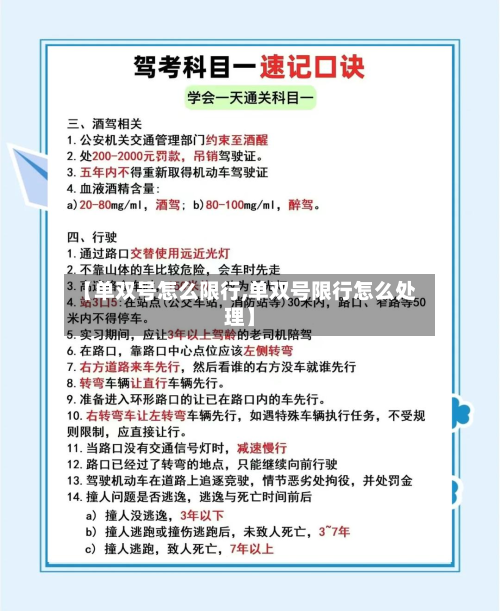 【单双号怎么限行,单双号限行怎么处理】-第2张图片