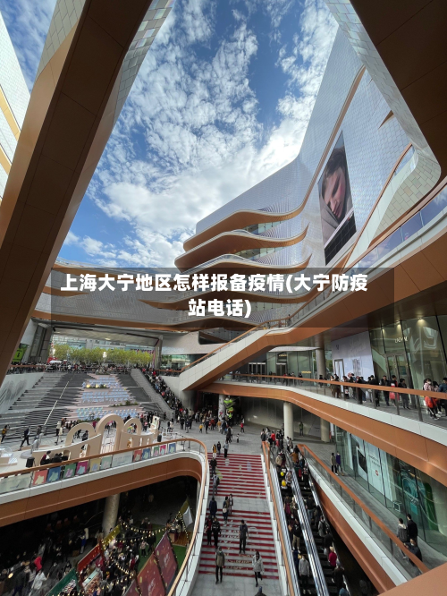 上海大宁地区怎样报备疫情(大宁防疫站电话)-第2张图片
