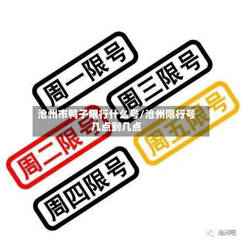 沧州市鸭子限行什么号/沧州限行号几点到几点