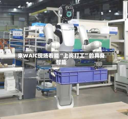 来WAIC现场看能“上岗打工	”的具身智能-第2张图片
