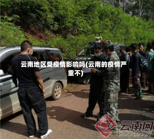 云南地区受疫情影响吗(云南的疫情严重不)-第2张图片