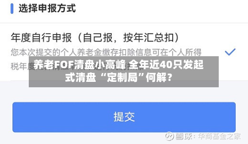 养老FOF清盘小高峰 全年近40只发起式清盘 “定制局”何解？-第2张图片