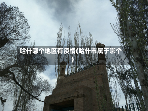 哈什哪个地区有疫情(哈什市属于哪个)