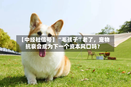 【中经社信号】“毛孩子”老了	，宠物抗衰会成为下一个资本风口吗？-第2张图片