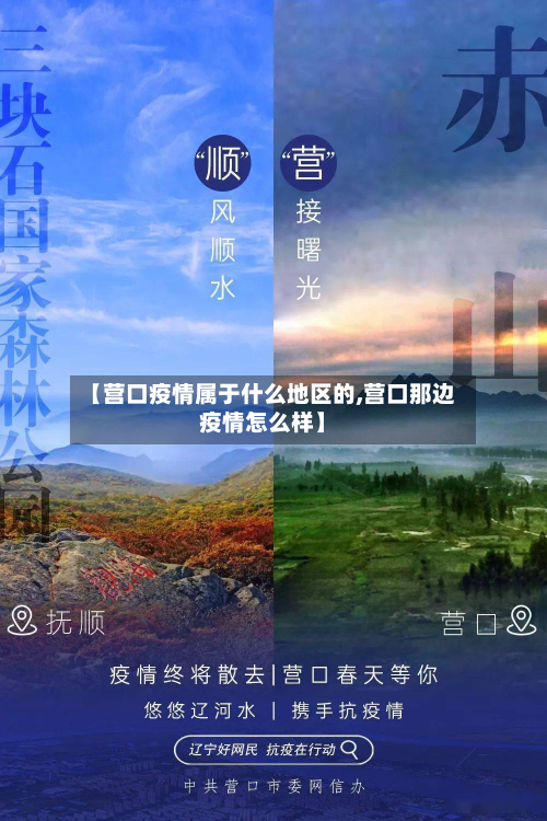 【营口疫情属于什么地区的,营口那边疫情怎么样】-第1张图片