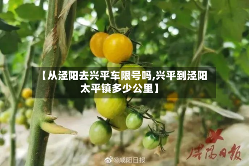 【从泾阳去兴平车限号吗,兴平到泾阳太平镇多少公里】-第2张图片