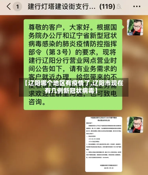 【辽阳哪个地区有疫情了,辽阳市现在有几例新冠状病毒】-第2张图片
