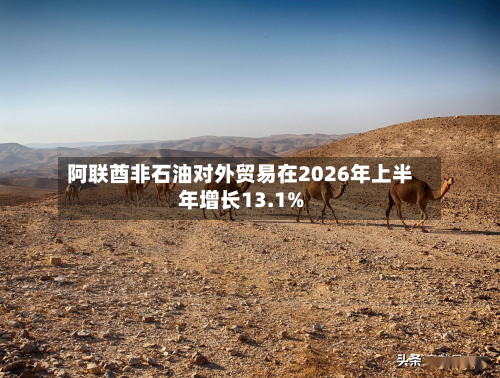 阿联酋非石油对外贸易在2026年上半年增长13.1%-第2张图片