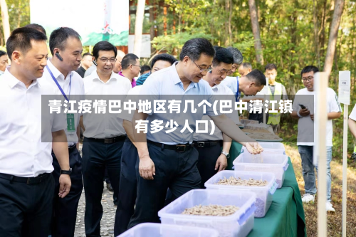 青江疫情巴中地区有几个(巴中清江镇有多少人口)-第2张图片