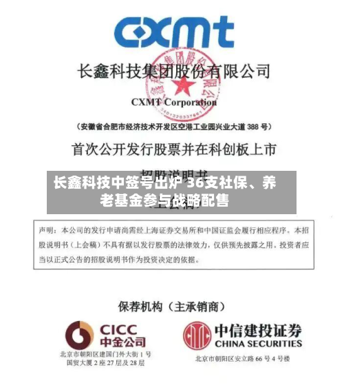 长鑫科技中签号出炉 36支社保	、养老基金参与战略配售-第3张图片