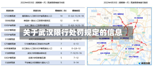 关于武汉限行处罚规定的信息-第1张图片
