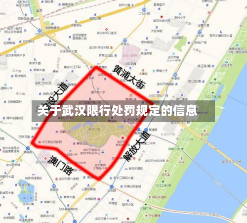 关于武汉限行处罚规定的信息-第3张图片