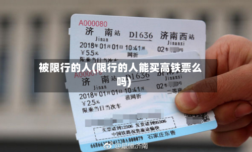 被限行的人(限行的人能买高铁票么吗)-第3张图片