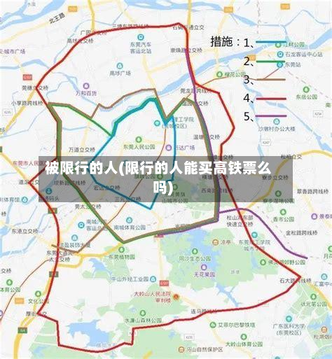 被限行的人(限行的人能买高铁票么吗)-第2张图片