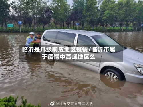 临沂是几级响应地区疫情/临沂市属于疫情中高峰地区么