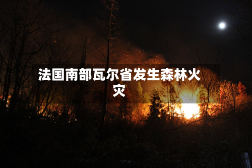 法国南部瓦尔省发生森林火灾-第1张图片