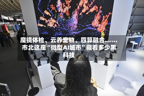 魔镜体检	、云养宠物、四算融合……市北这座“微型AI城市”藏着多少黑科技-第2张图片