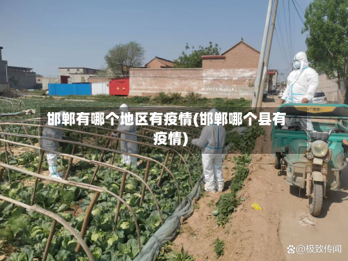 邯郸有哪个地区有疫情(邯郸哪个县有疫情)