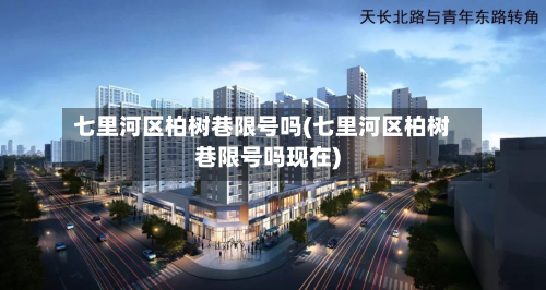 七里河区柏树巷限号吗(七里河区柏树巷限号吗现在)-第3张图片