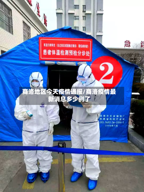 商洛地区今天疫情通报/商洛疫情最新消息多少例了-第2张图片