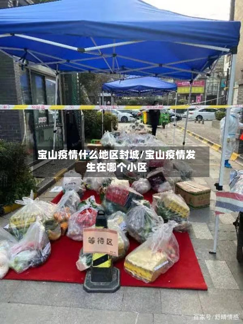 宝山疫情什么地区封城/宝山疫情发生在哪个小区-第1张图片