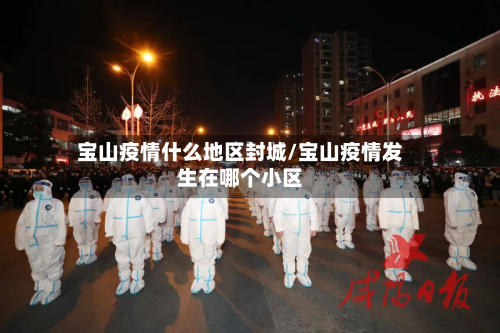 宝山疫情什么地区封城/宝山疫情发生在哪个小区-第2张图片