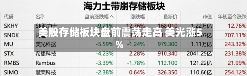 美股存储板块盘前震荡走高 美光涨5%-第1张图片