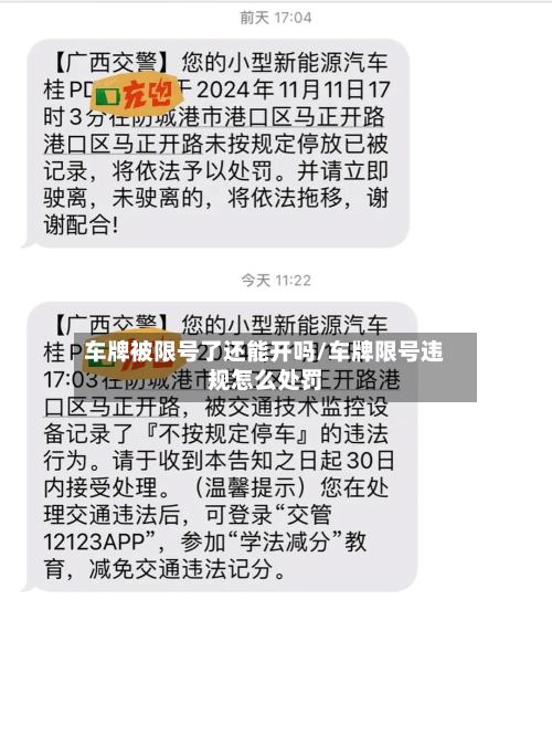 车牌被限号了还能开吗/车牌限号违规怎么处罚-第1张图片