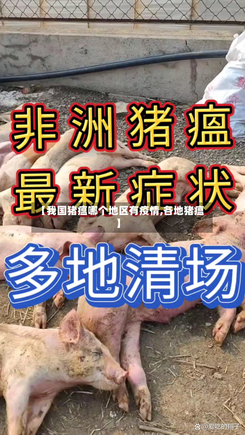 【我国猪瘟哪个地区有疫情,各地猪瘟】-第3张图片