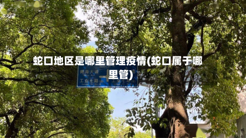 蛇口地区是哪里管理疫情(蛇口属于哪里管)-第2张图片