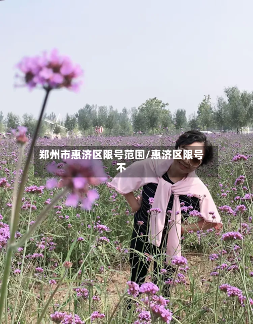 郑州市惠济区限号范围/惠济区限号不-第3张图片