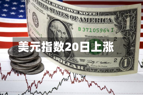 美元指数20日上涨-第1张图片