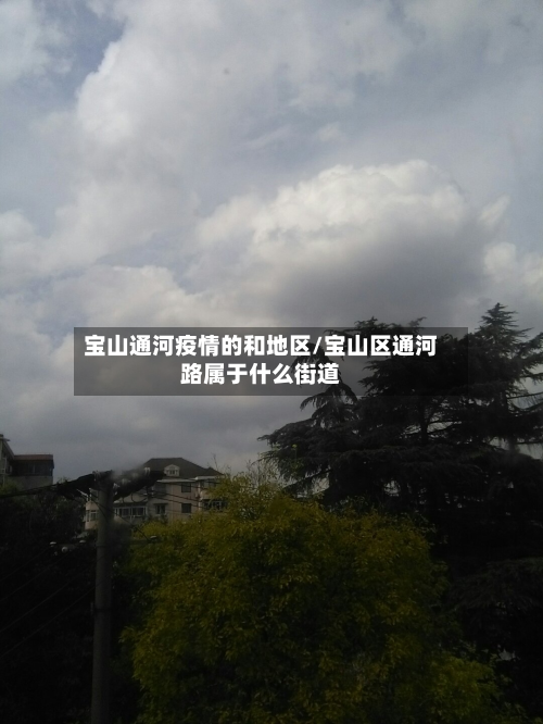 宝山通河疫情的和地区/宝山区通河路属于什么街道