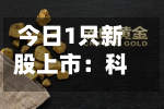 今日1只新股上市:科创板泰诺麦博-第2张图片