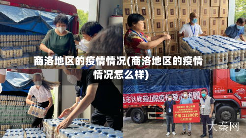 商洛地区的疫情情况(商洛地区的疫情情况怎么样)-第3张图片