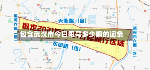 包含武汉市今日限号多少啊的词条