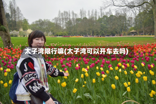 太子湾限行嘛(太子湾可以开车去吗)-第2张图片