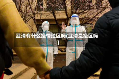 武清有什么疫情地区吗(武清是疫区吗)-第1张图片