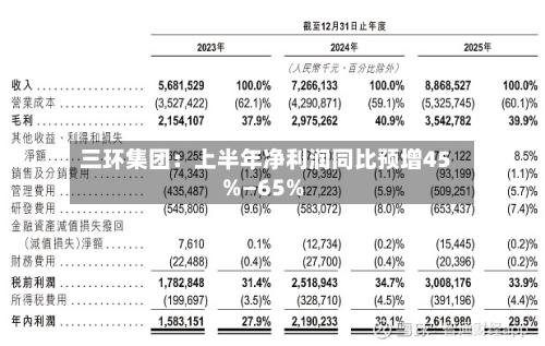三环集团：上半年净利润同比预增45%—65%