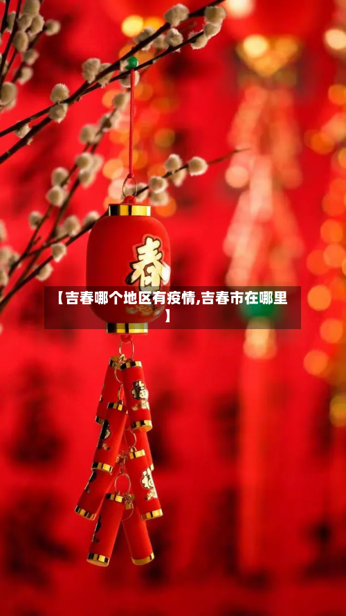 【吉春哪个地区有疫情,吉春市在哪里】-第3张图片