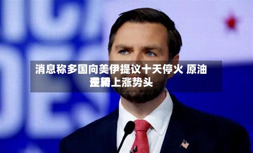 消息称多国向美伊提议十天停火 原油费用逆转上涨势头-第2张图片