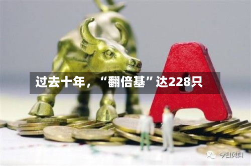 过去十年，“翻倍基	”达228只-第2张图片
