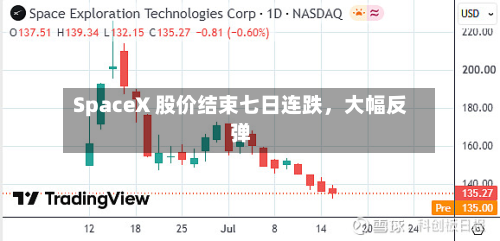 SpaceX 股价结束七日连跌，大幅反弹-第3张图片