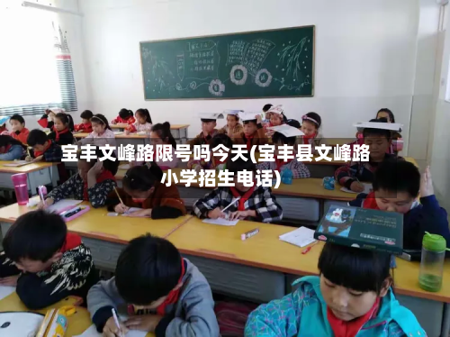 宝丰文峰路限号吗今天(宝丰县文峰路小学招生电话)-第1张图片