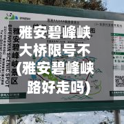 雅安碧峰峡大桥限号不(雅安碧峰峡路好走吗)-第1张图片