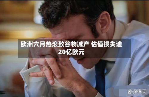 欧洲六月热浪致谷物减产 估值损失逾20亿欧元