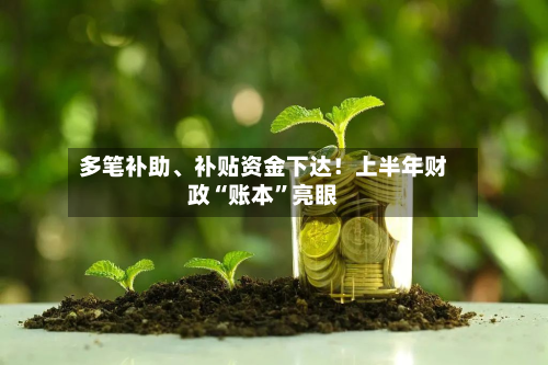 多笔补助、补贴资金下达！上半年财政“账本”亮眼-第3张图片