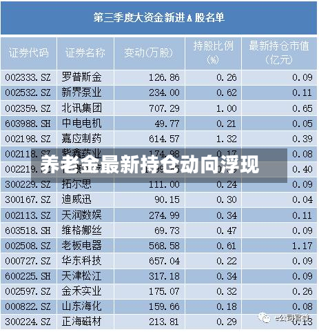 养老金最新持仓动向浮现-第1张图片