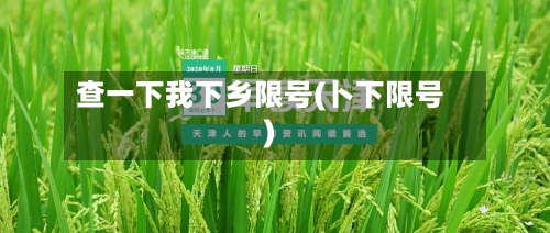 查一下我下乡限号(卜下限号)-第3张图片