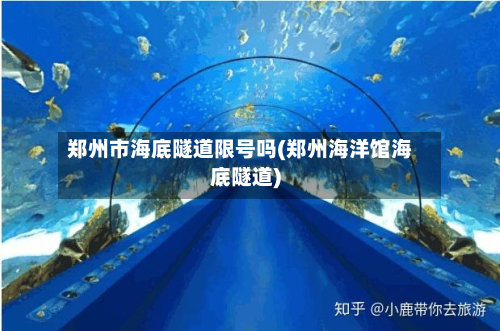 郑州市海底隧道限号吗(郑州海洋馆海底隧道)-第1张图片